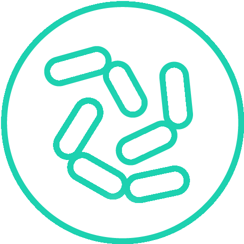 Icon_Microbial_Teal